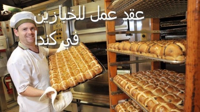 عقد عمل مجاني  للخبازين في كندا